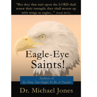 Eagle Eye Saints (Mini-Book)
