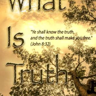 What Is Truth: And Does Truth Matter? (Manual)