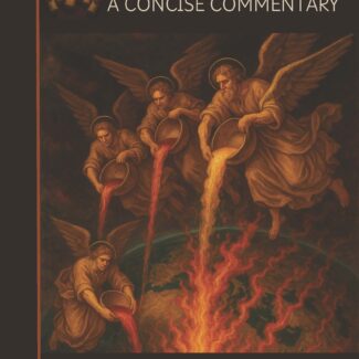 A Jet Tour through the Book of Revelation: A Concise Commentary